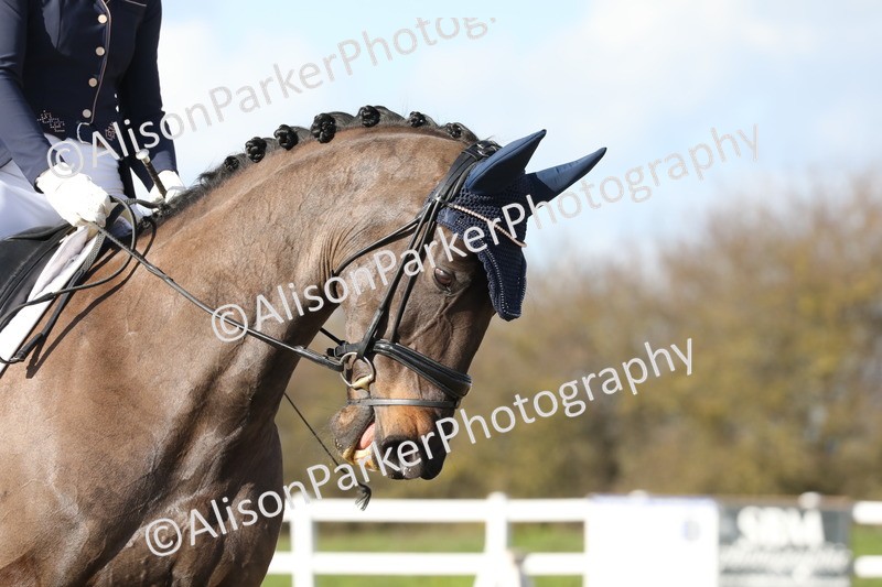 20260314-5031 - CT6 - Elementary 1