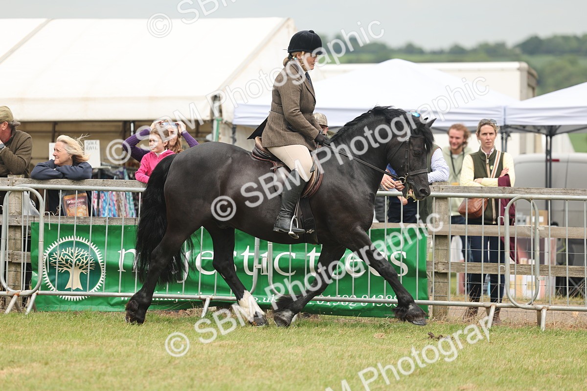 SBM_07175 - Class 76-77 - Ridden M&M Welsh Ponies