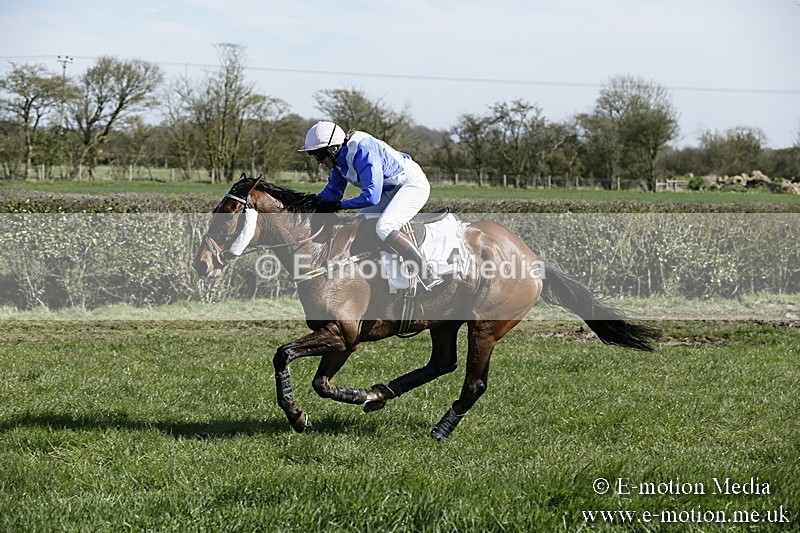 PtP 250317 43 - V.W.H. Hunt Point-to-Point Siddington 25/03/17