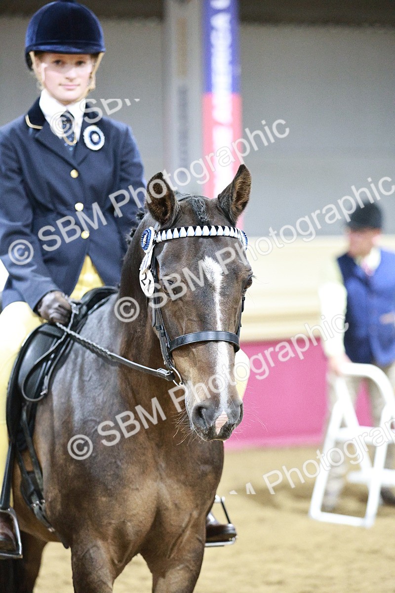 SBM_08079 - Class 11R - Regional Ridden Veteran