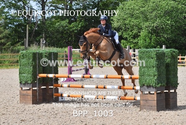 BPP_1003 - Senior British Novice/ 90cm Open