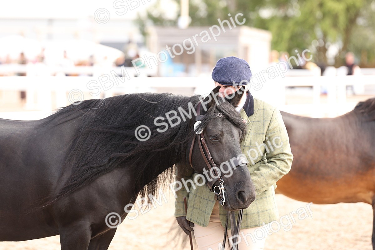 SBM_15114 - Class 209 - IH Veteran Pony