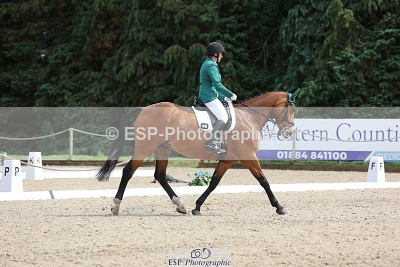 250718A-152827-02579 - 152-Tracy.OKennedy-Wylye.Harlequin