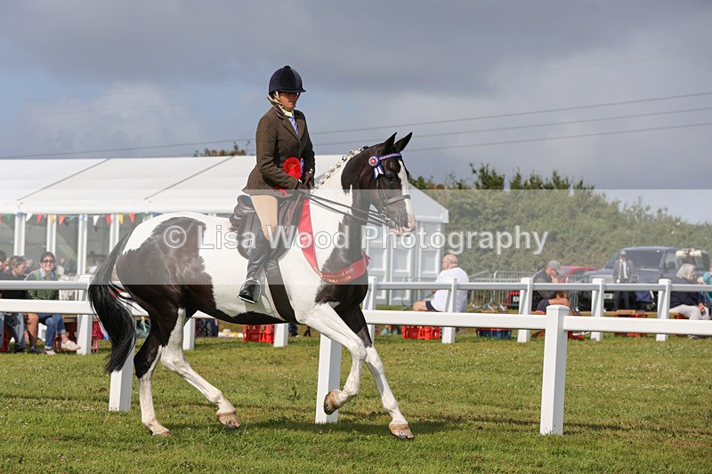 1X9A3528 - Skewbald and Piebald Ridden Championship