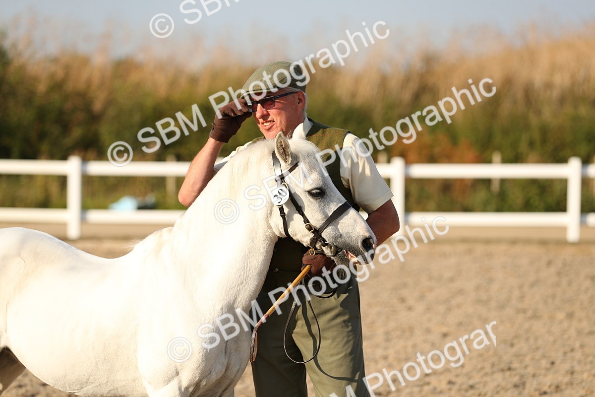 SBM_09019 - Class 29 IH Veteran Pony