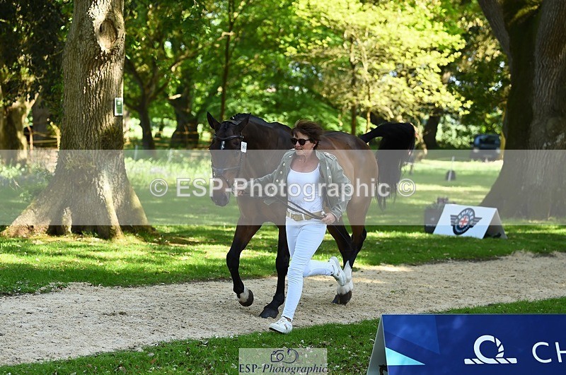 230524-154616-00488 - 369-GIDO_G-Sally_Chamberlain-WEDTrotUp+DR