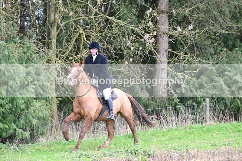 WJ6_9495 - Line Four