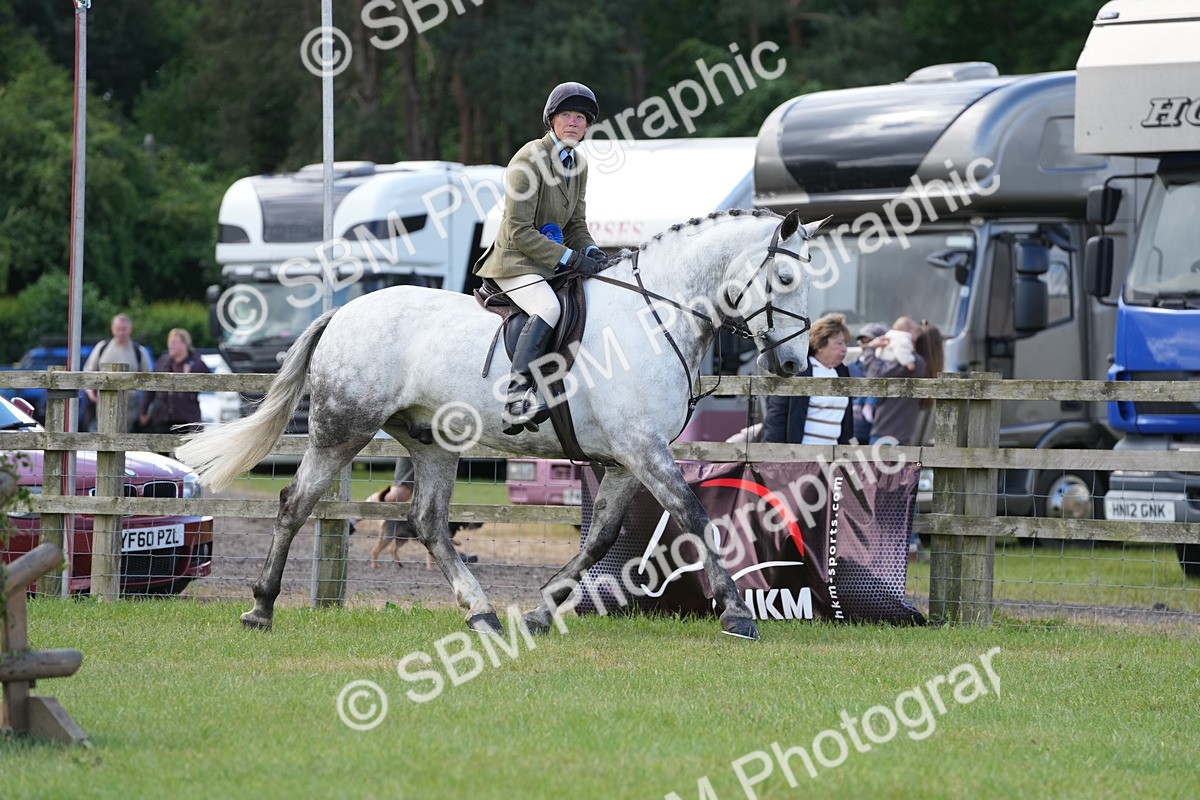 SBM_14913 - Class 100-102 - RIHS Working Hunter