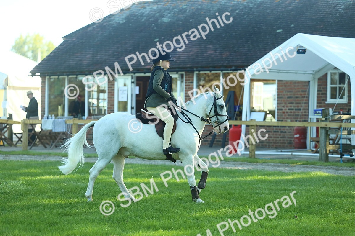 SBM_36276 - S29 - Novice & Newcomers Working Hunter Pony