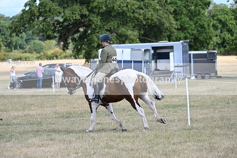 WJ7_7251 - Class 14 Ridden Coloured