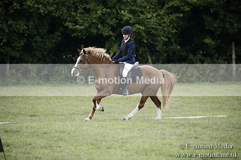 BVR090918 242 - BVRC Dressage and Show Jumping 09/09/18