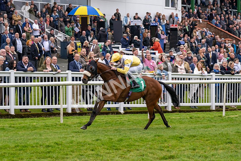 040524-Race 2-Wobwobwob-4091 - Race 2