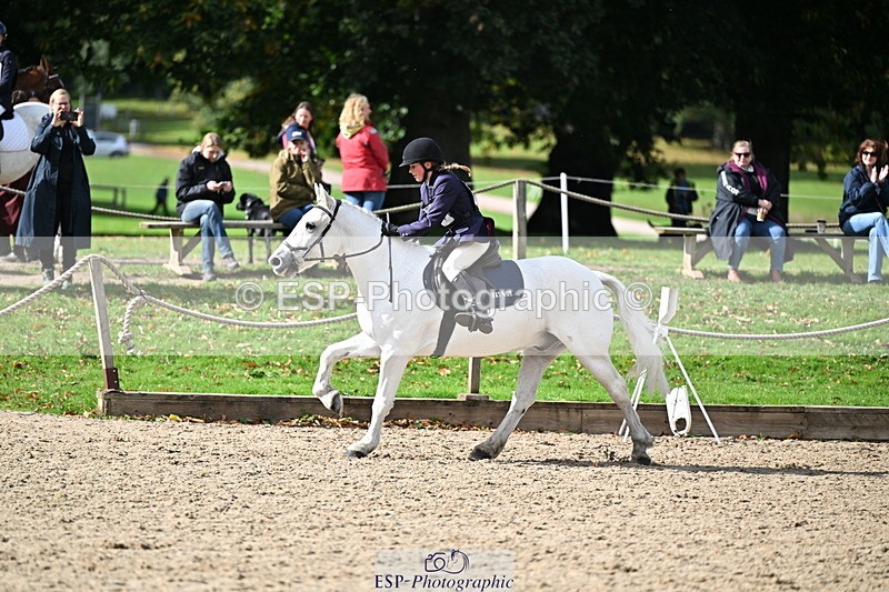 251005A-140328-04264 - Cls 09 Nov 80-85cm