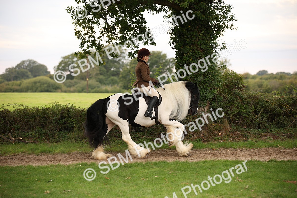 SBM_73449 - S68 - Traditional Cob Ridden