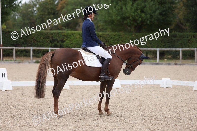 20250820-1135 - Class 17 - Elementary 4