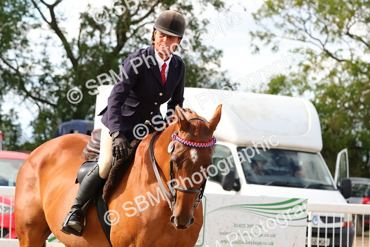 SBM_16276 - Class 217 - Ridden Retired Racehorse