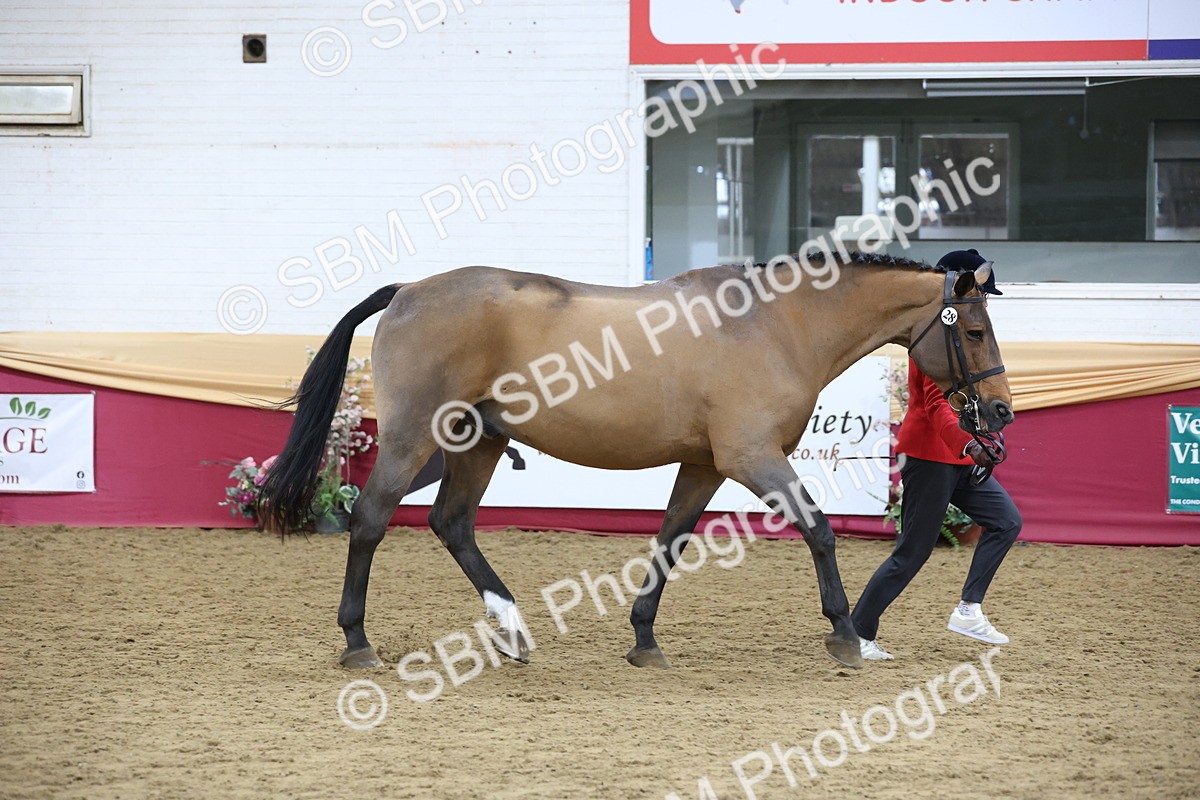 SBM_23620 - Class 904 - Supreme Final - Ridden Diamond