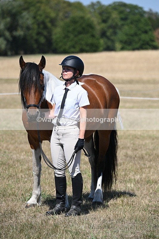 WJ6_8677 - Class 37b Best Loan Pony In-hand