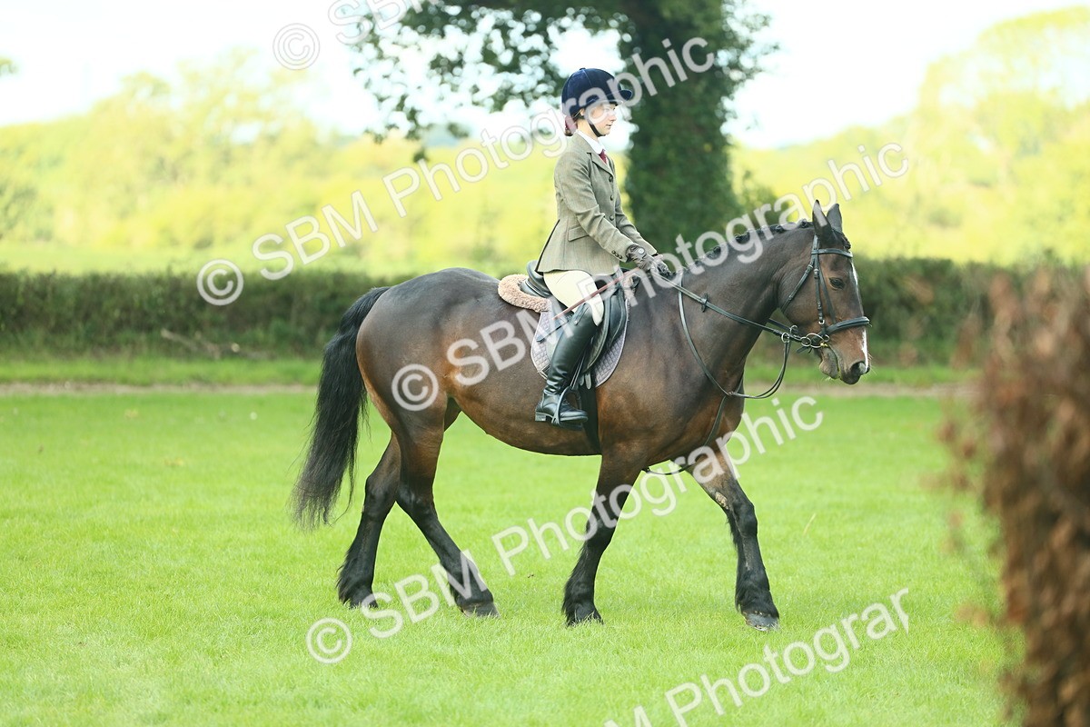 SBM_42032 - S29 - Novice & Newcomers Working Hunter Pony