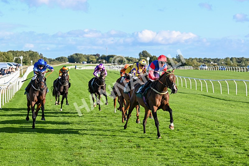 100924-Race 7-Desert Dream-0709 - Race 7