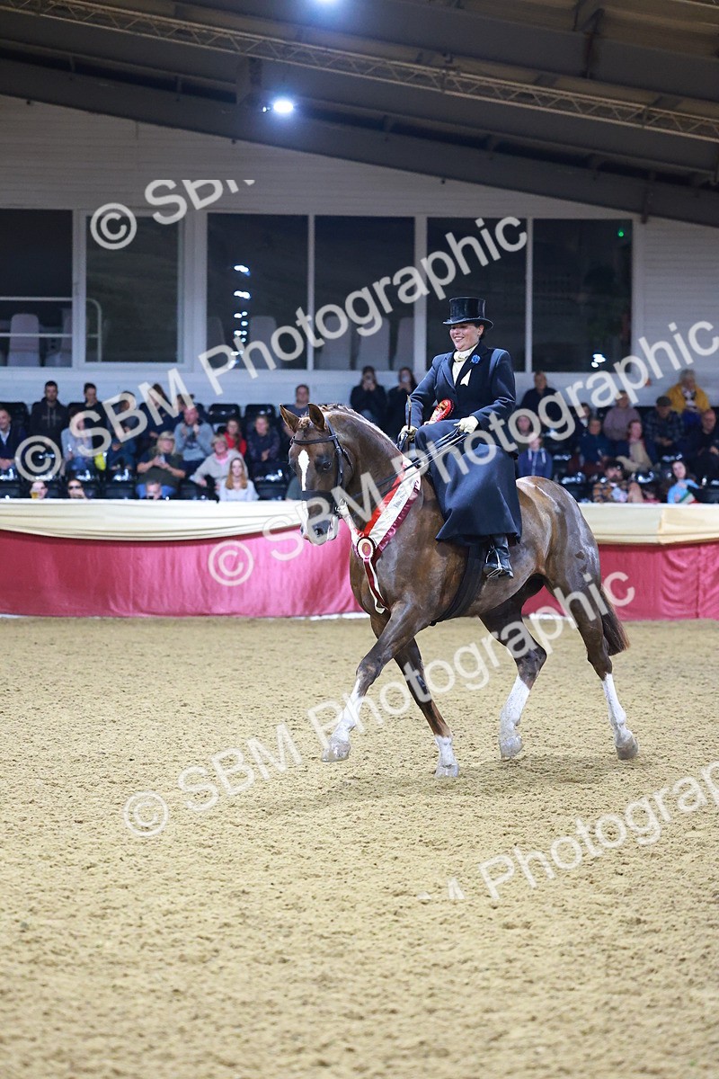 SBM_15472 - Class Q - Ridden Horse Champ
