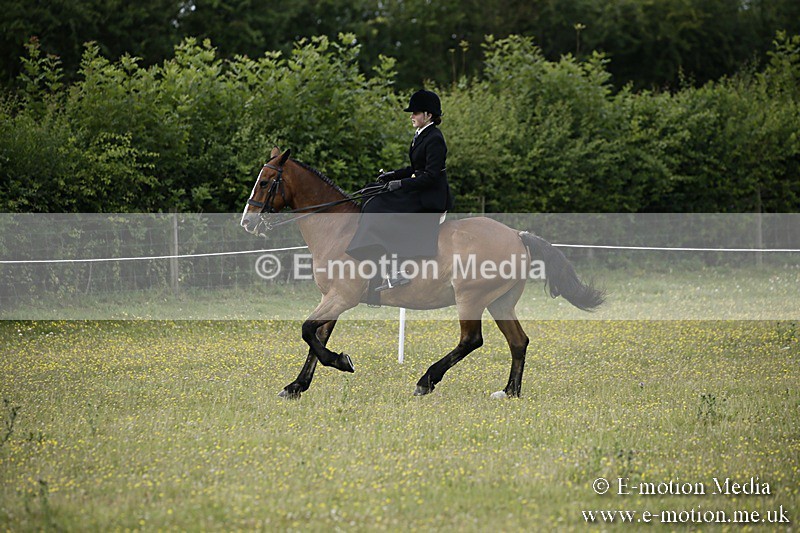 BVR160717-1647 - Side Saddle Classes 16/07/17