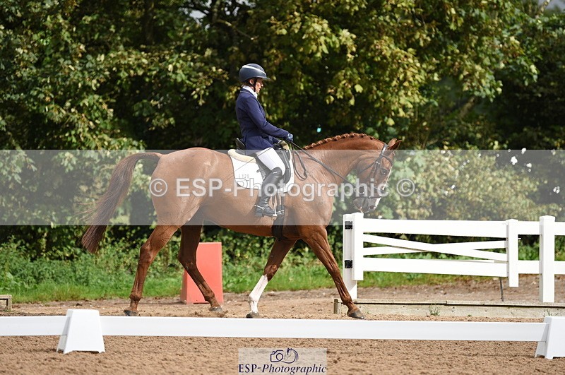 230912A-110742-00510 - Cls 7 Elementary 40