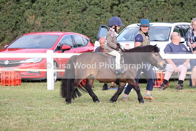 JPP_0231 - Class 14: Cornish Combination Leading Rein