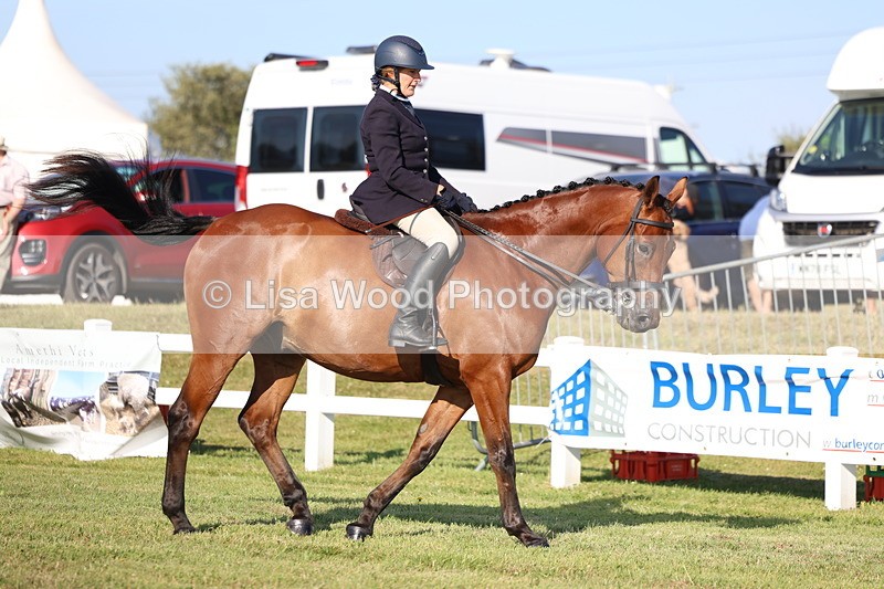 3E7A5231 - Class 2: Rising Star Large Hack/Riding Horse