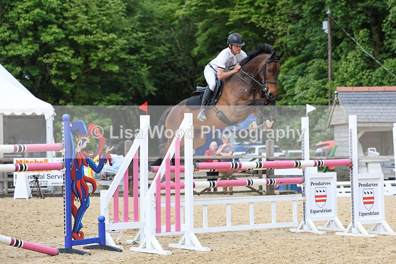 3E7A7436 - Class 8: Senior Foxhunter/1.20 open