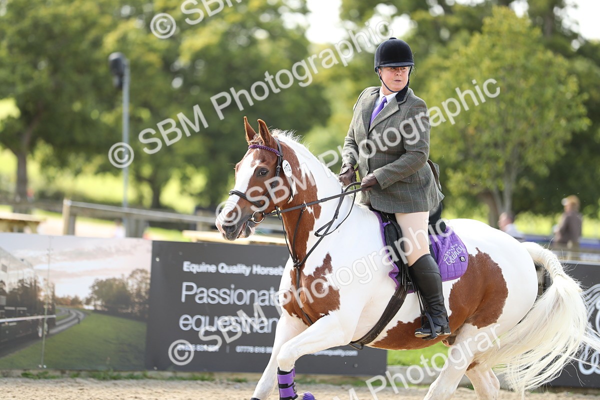 SBM_05751 - J35 - Veteran Rider 60cm