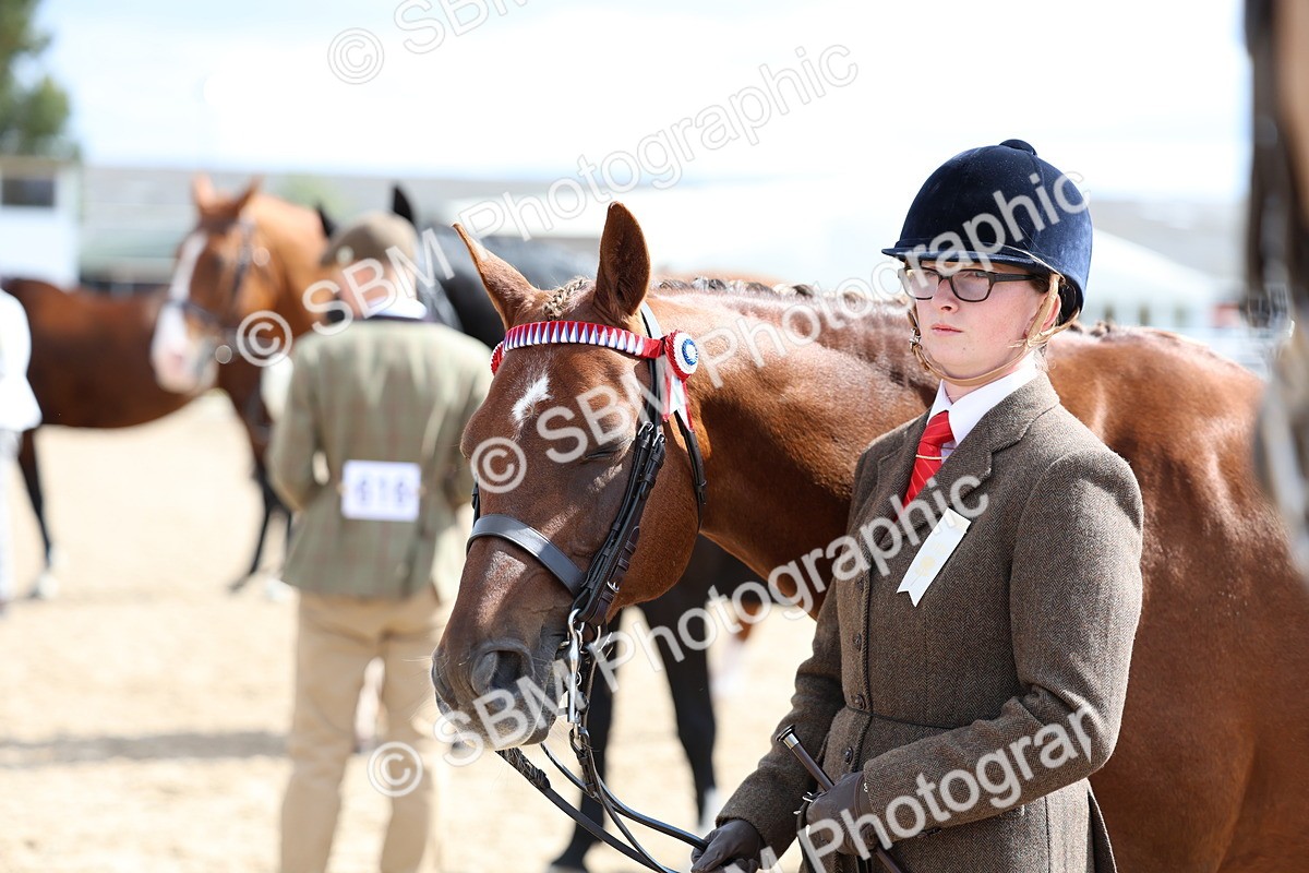 SBM_15423 - Class 312 - IH Competition Horse-Pony
