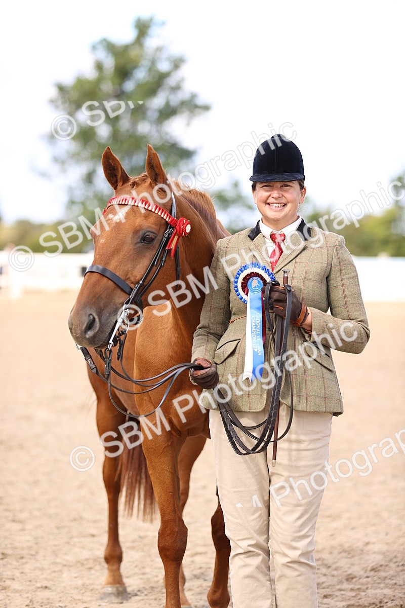 SBM_11561 - Class 407 - IH Hack-Riding Horse
