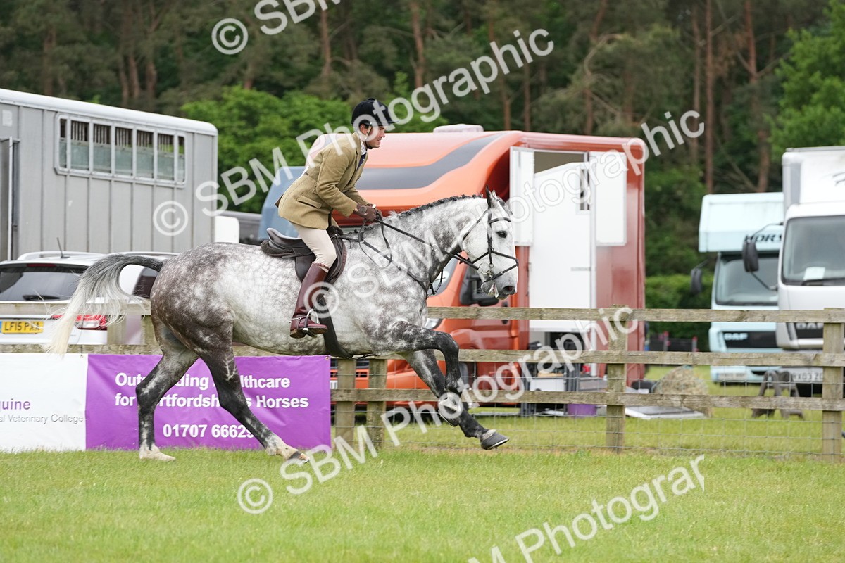 SBM_12841 - Class 97-98 - LIHS BSHA Rising Star Working Show Horse Hunter