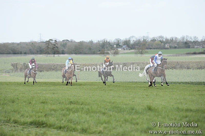PtP 230319 104 - VWH Hunt Siddington Point-to-Point Racing 23/03/19