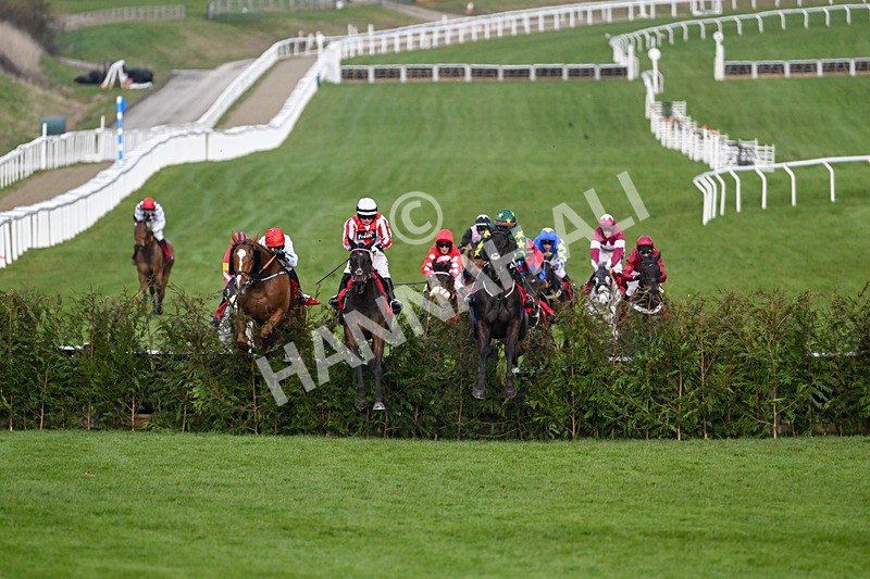 120325-Race 4-Stumptown-6949 - 12th March