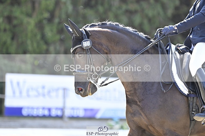 250810A-111903-05359 - 106-Lynn.WickesFurstino