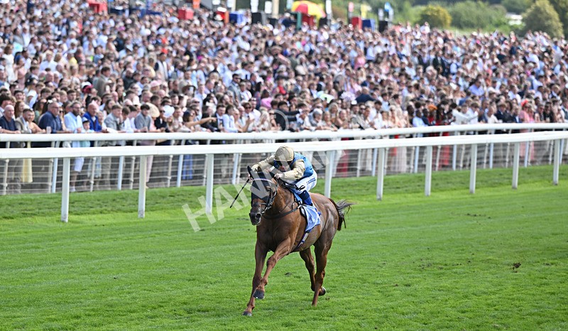 220826-002 Archivist - Race 1 13.50pm Sky Bet Strensall Stakes