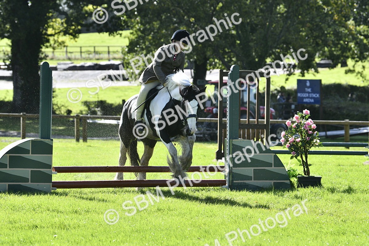 SBM_38190 - S31 - Novice & Newcomer Working Hunter Pony