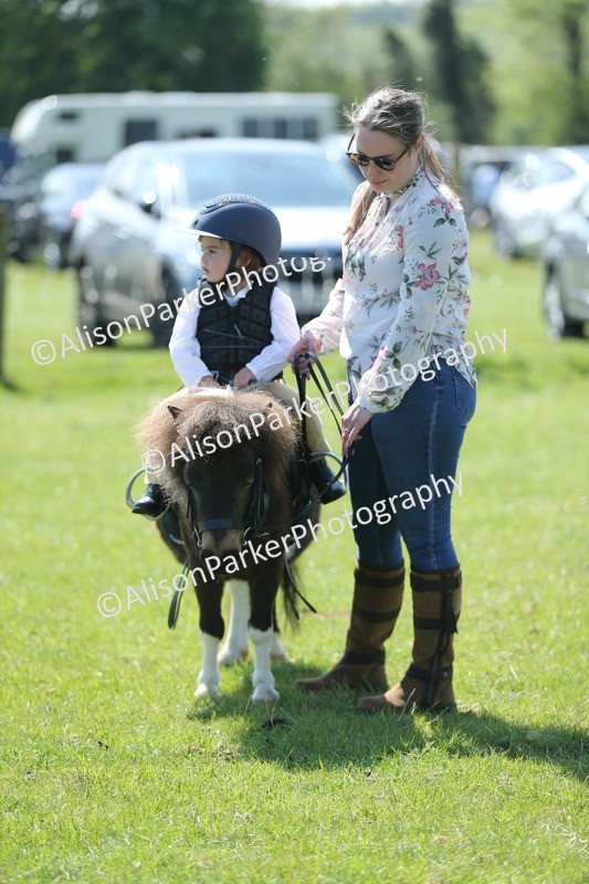 20250427-2727 - Class 6 - Pony Judge Would Most Like To Take Home