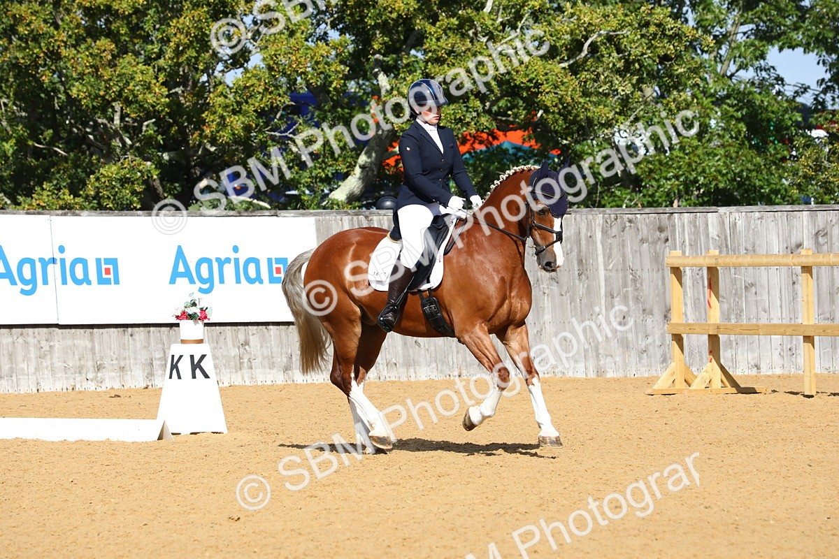 SBM_18284 - D31 - Grand Tour PYO Open .