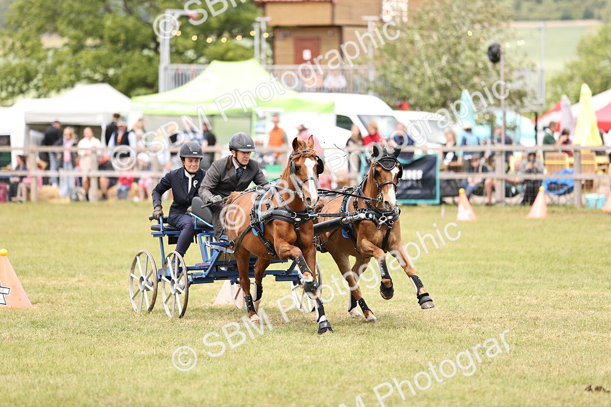 SBM_16005 - Class 91 - Scurry  exceeding 122cms