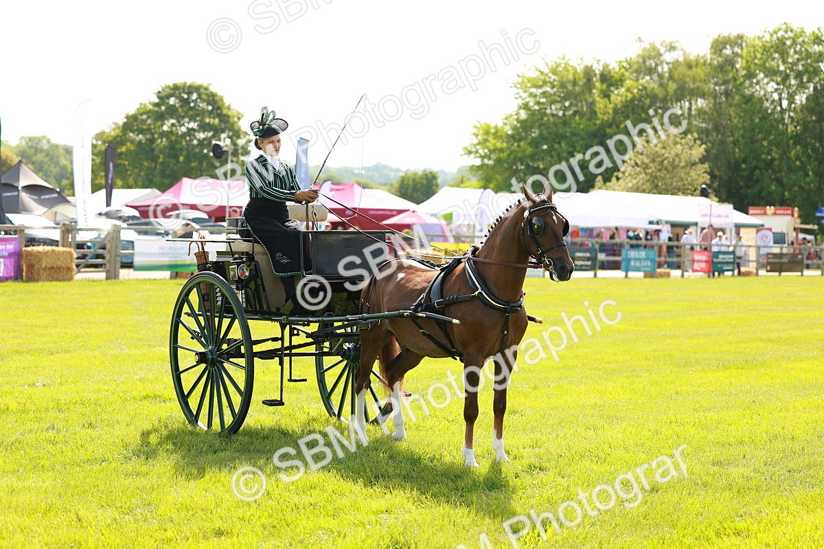 SBM_01236 - Class 2-4 - HOYS Private Driving