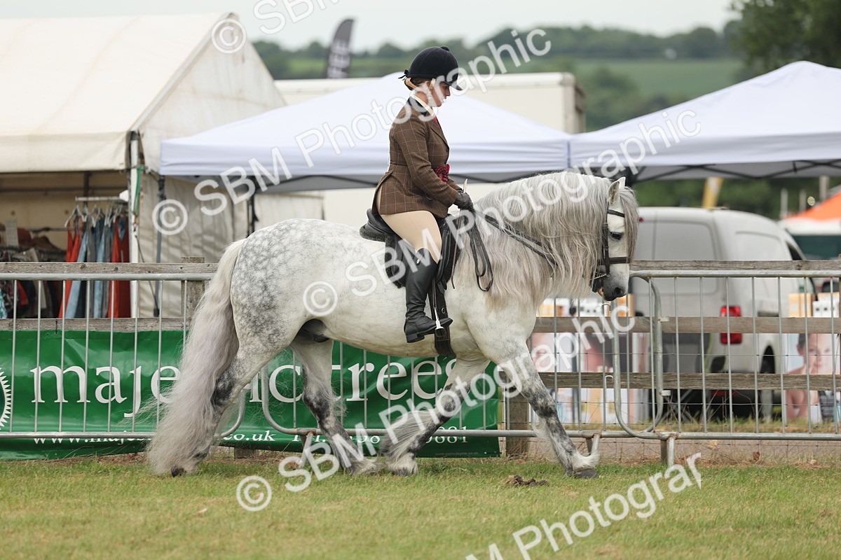 SBM_09095 - Class 78-80 - Ridden M&M Non Welsh Ponies