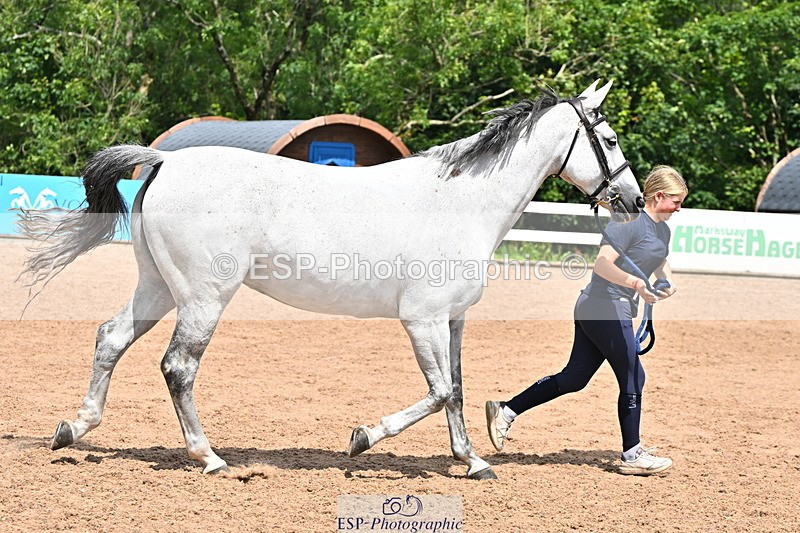 240718A-105305-01550 - Trot Up 1pm to 2pm