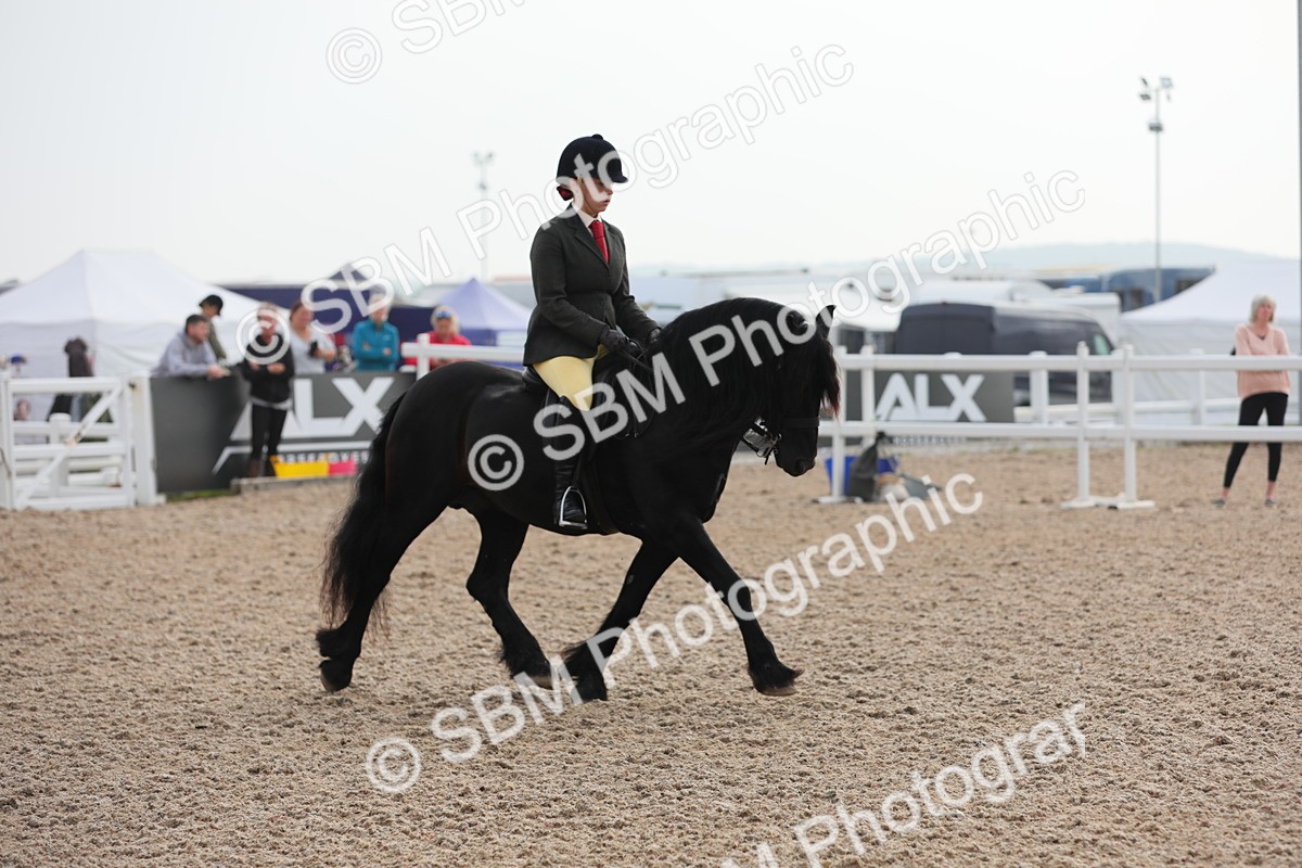 SBM_10039 - Class 302 Ridden M&M -Large Breeds
