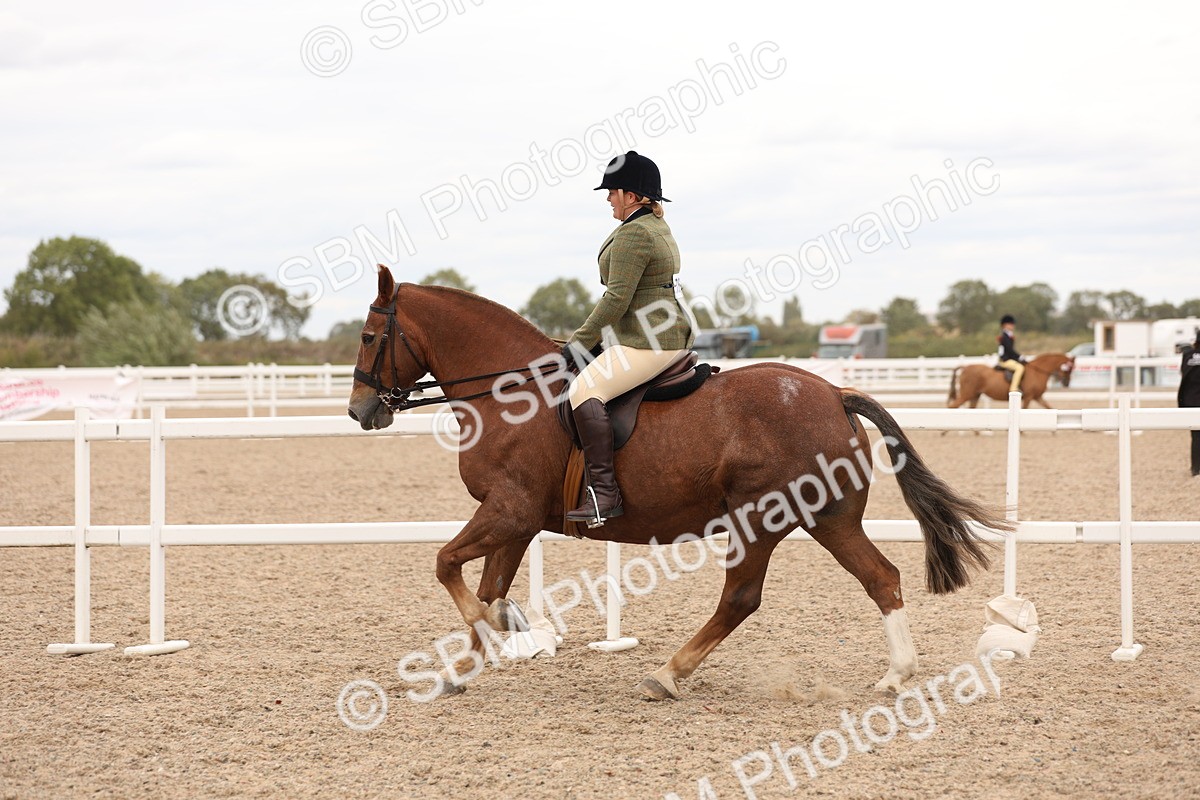 SBM_19563 - Class 215 - Ridden Show cob