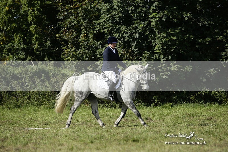BVRC 120921 240 - Bourne Valley Riding Club UA Dressage & Show Jumping 12/09/21