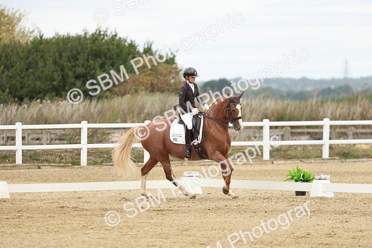 SBM_006551 - Class 21 - Medium 5 Bronze - 9.08-9.48