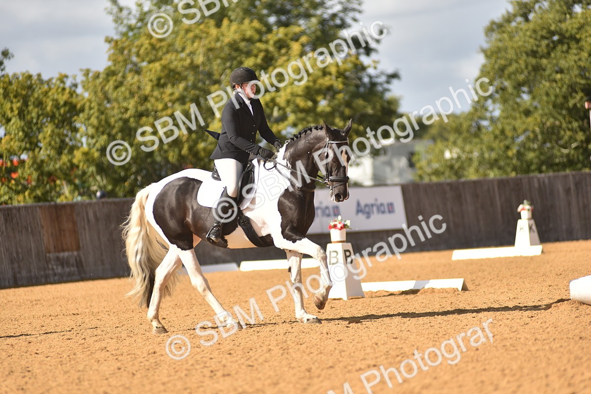 SBM_24320 - D4 - Small Tour Championship Intro 4